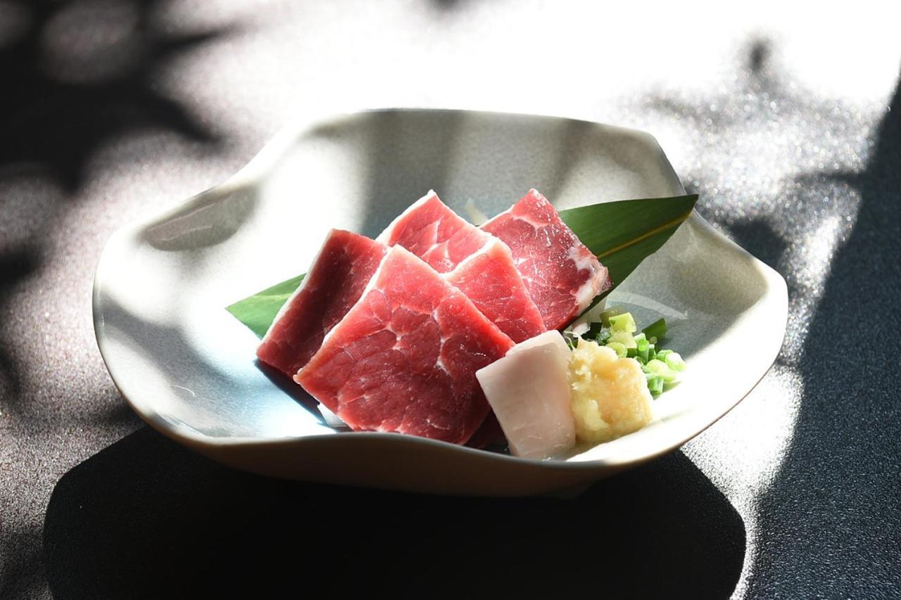 Hitoyoshi Ryokan Exterior foto